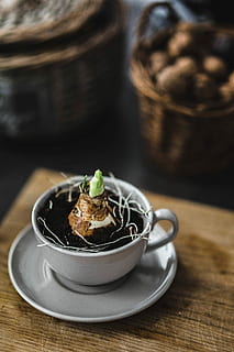 糖裹花生米的做法 水煮挂糖花生做法？